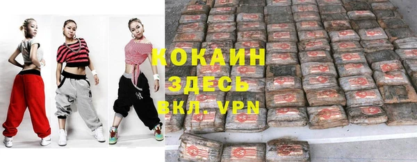 дмт Алексин