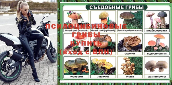 дмт Алексин